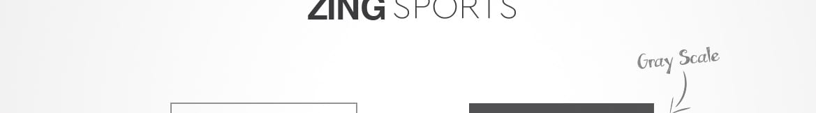 Zing Sports design presentation
