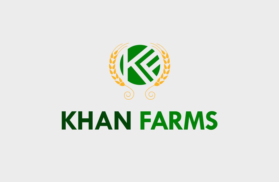 Boundless Technologies logo design - Khan Farms