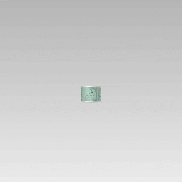 Boundless Technologies Hal packaging design